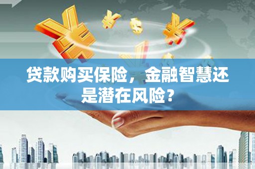 邵东贷款购买保险，金融智慧还是潜在风险？