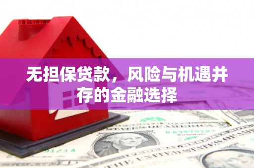 邵东无担保贷款，风险与机遇并存的金融选择