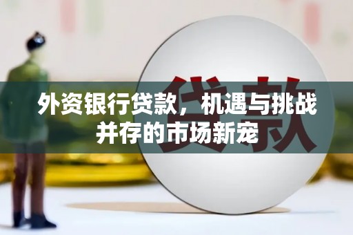 邵东外资银行贷款，机遇与挑战并存的市场新宠
