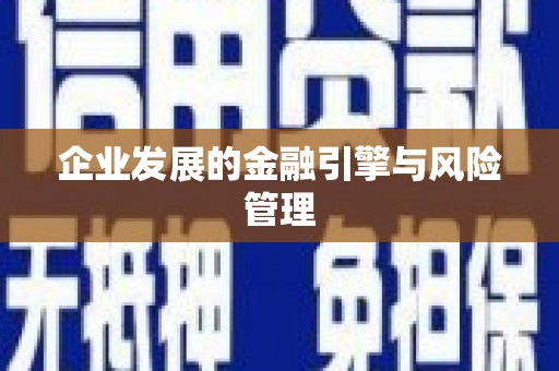 邵东企业发展的金融引擎与风险管理