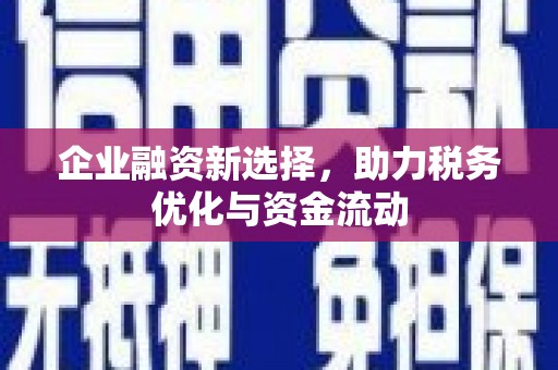 邵东企业融资新选择，助力税务优化与资金流动