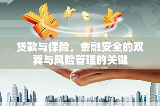 邵东贷款与保险，金融安全的双翼与风险管理的关键