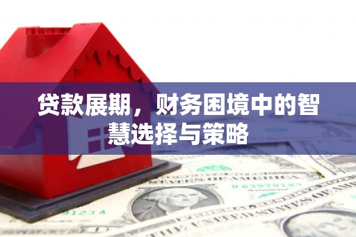 邵东贷款展期，财务困境中的智慧选择与策略