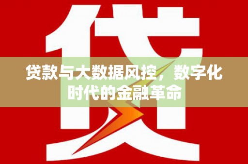 邵东贷款与大数据风控，数字化时代的金融革命