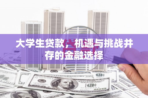 邵东大学生贷款，机遇与挑战并存的金融选择
