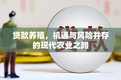 邵东贷款养殖，机遇与风险并存的现代农业之路