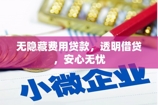 邵东无隐藏费用贷款，透明借贷，安心无忧