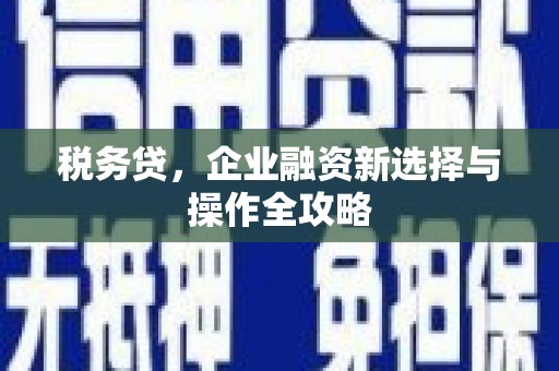 邵东税务贷，企业融资新选择与操作全攻略