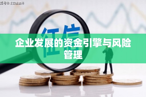 邵东企业发展的资金引擎与风险管理