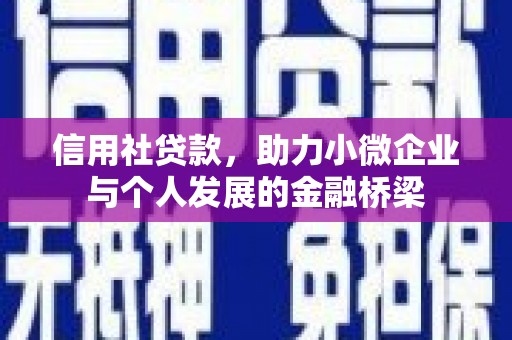 邵东信用社贷款，助力小微企业与个人发展的金融桥梁