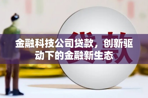 邵东金融科技公司贷款，创新驱动下的金融新生态