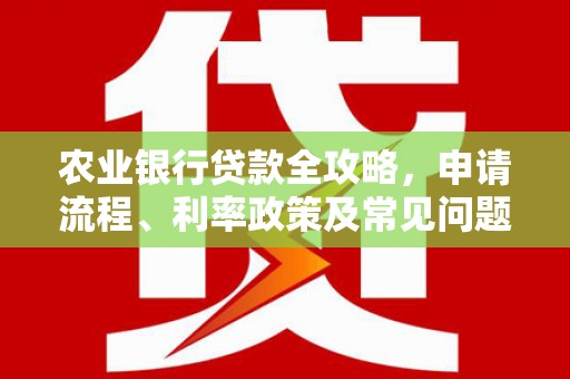 邵东农业银行贷款全攻略，申请流程、利率政策及常见问题解析