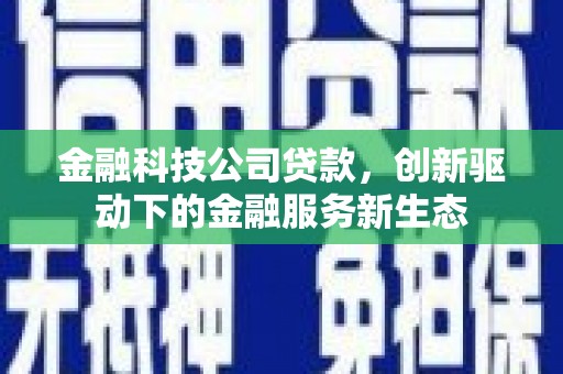 邵东金融科技公司贷款，创新驱动下的金融服务新生态