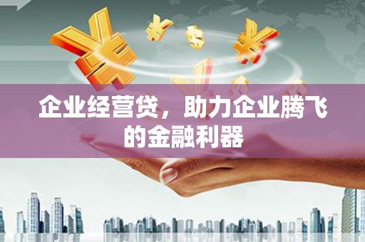 邵东企业经营贷，助力企业腾飞的金融利器