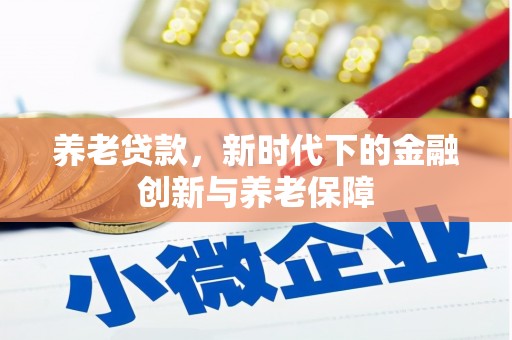 邵东养老贷款，新时代下的金融创新与养老保障