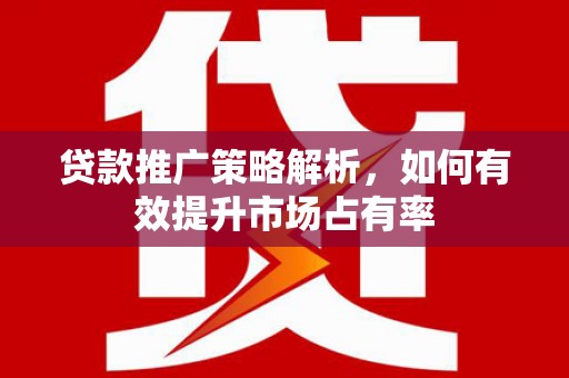 邵东贷款推广策略解析，如何有效提升市场占有率