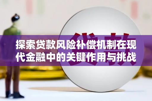 邵东探索贷款风险补偿机制在现代金融中的关键作用与挑战