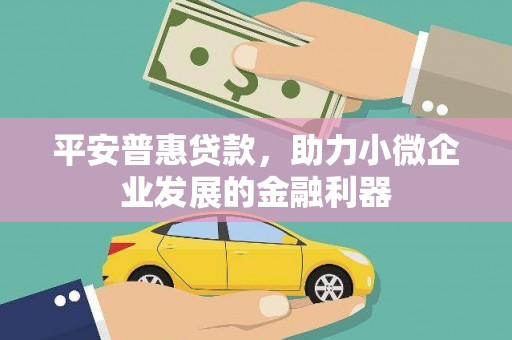 邵东平安普惠贷款，助力小微企业发展的金融利器