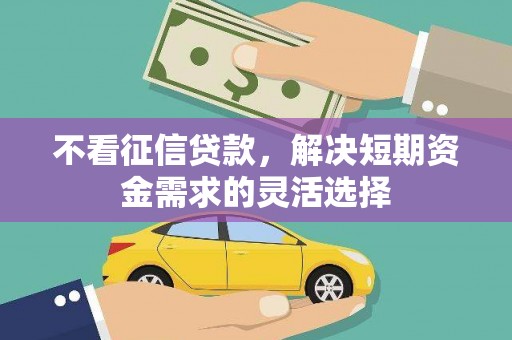 邵东不看征信贷款，解决短期资金需求的灵活选择