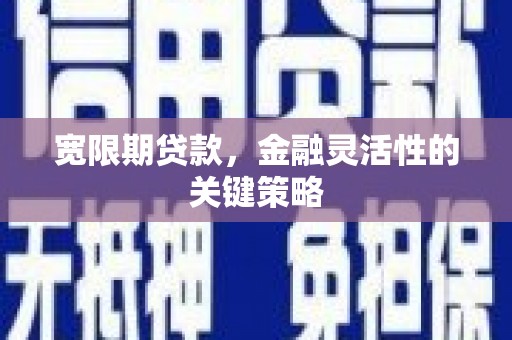 邵东宽限期贷款，金融灵活性的关键策略
