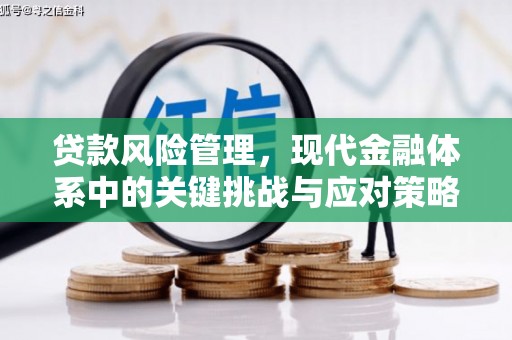 邵东贷款风险管理，现代金融体系中的关键挑战与应对策略