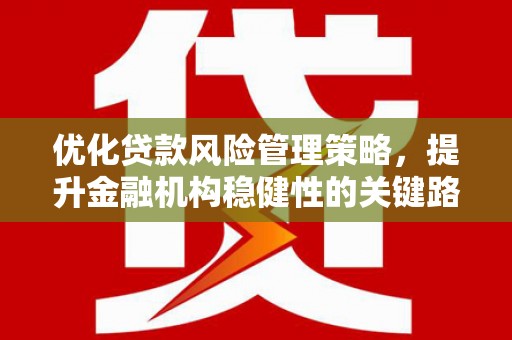 邵东优化贷款风险管理策略，提升金融机构稳健性的关键路径