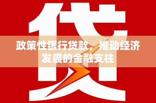 邵东政策性银行贷款，推动经济发展的金融支柱
