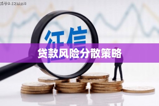 邵东贷款风险分散策略