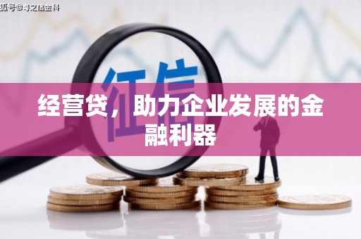 邵东经营贷，助力企业发展的金融利器