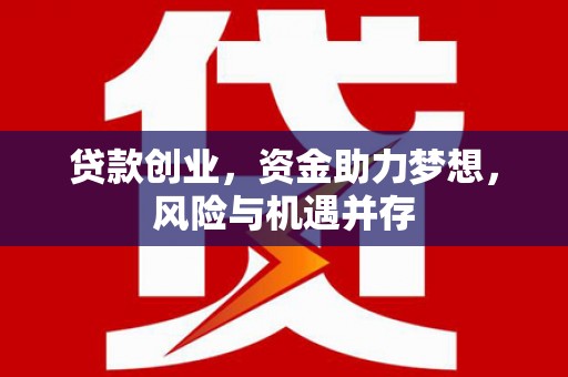 邵东贷款创业，资金助力梦想，风险与机遇并存