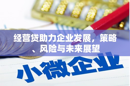 邵东经营贷助力企业发展，策略、风险与未来展望
