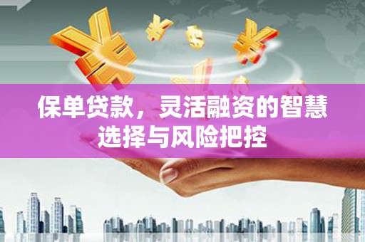 邵东保单贷款，灵活融资的智慧选择与风险把控