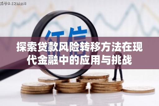 邵东探索贷款风险转移方法在现代金融中的应用与挑战
