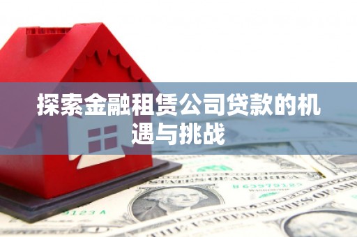 邵东探索金融租赁公司贷款的机遇与挑战