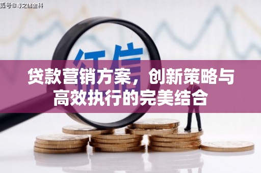 邵东贷款营销方案，创新策略与高效执行的完美结合