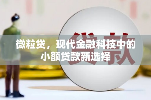 邵东微粒贷，现代金融科技中的小额贷款新选择