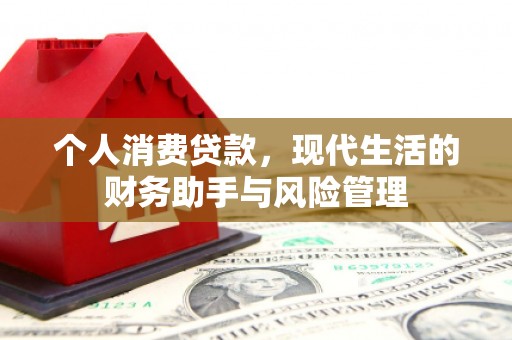 邵东个人消费贷款，现代生活的财务助手与风险管理