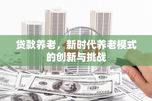 邵东贷款养老，新时代养老模式的创新与挑战
