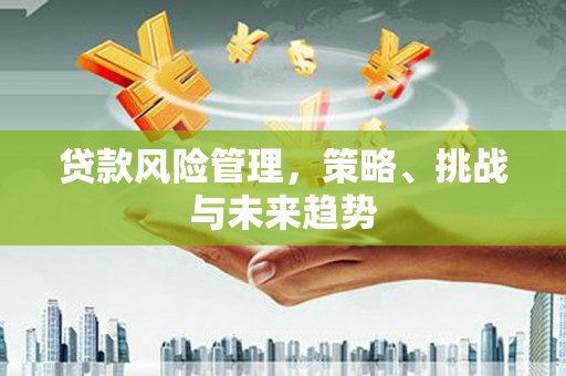 邵东贷款风险管理，策略、挑战与未来趋势