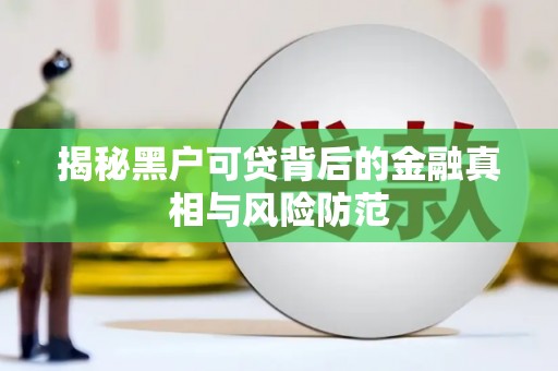 邵东揭秘黑户可贷背后的金融真相与风险防范