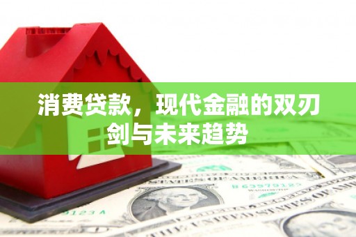 邵东消费贷款，现代金融的双刃剑与未来趋势