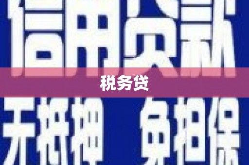 邵东税务贷