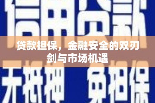 邵东贷款担保，金融安全的双刃剑与市场机遇