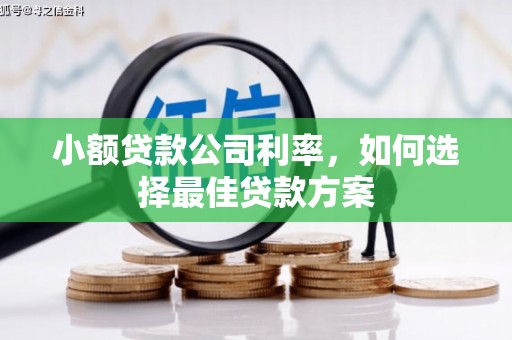 邵东小额贷款公司利率，如何选择最佳贷款方案