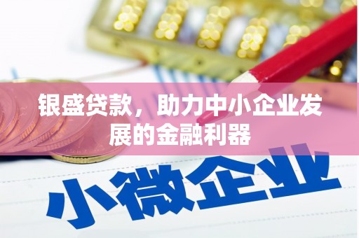 邵东银盛贷款，助力中小企业发展的金融利器
