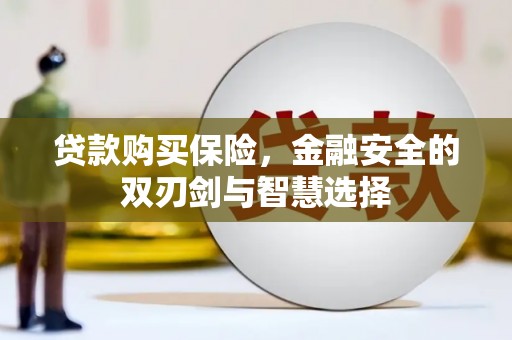 邵东贷款购买保险，金融安全的双刃剑与智慧选择
