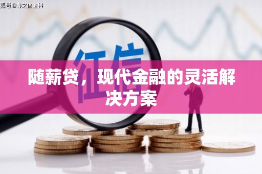 邵东随薪贷，现代金融的灵活解决方案