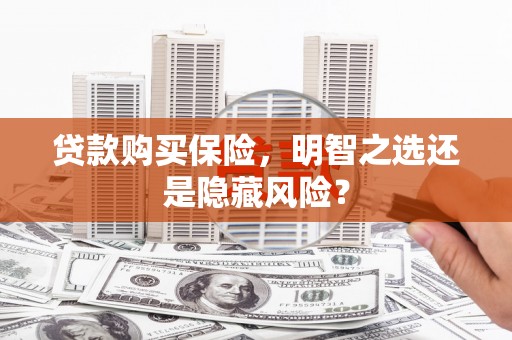 邵东贷款购买保险，明智之选还是隐藏风险？