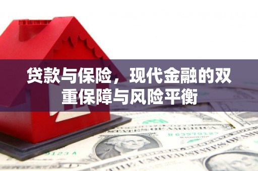 邵东贷款与保险，现代金融的双重保障与风险平衡