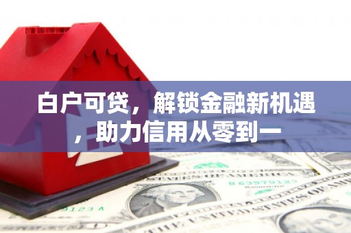 邵东白户可贷，解锁金融新机遇，助力信用从零到一